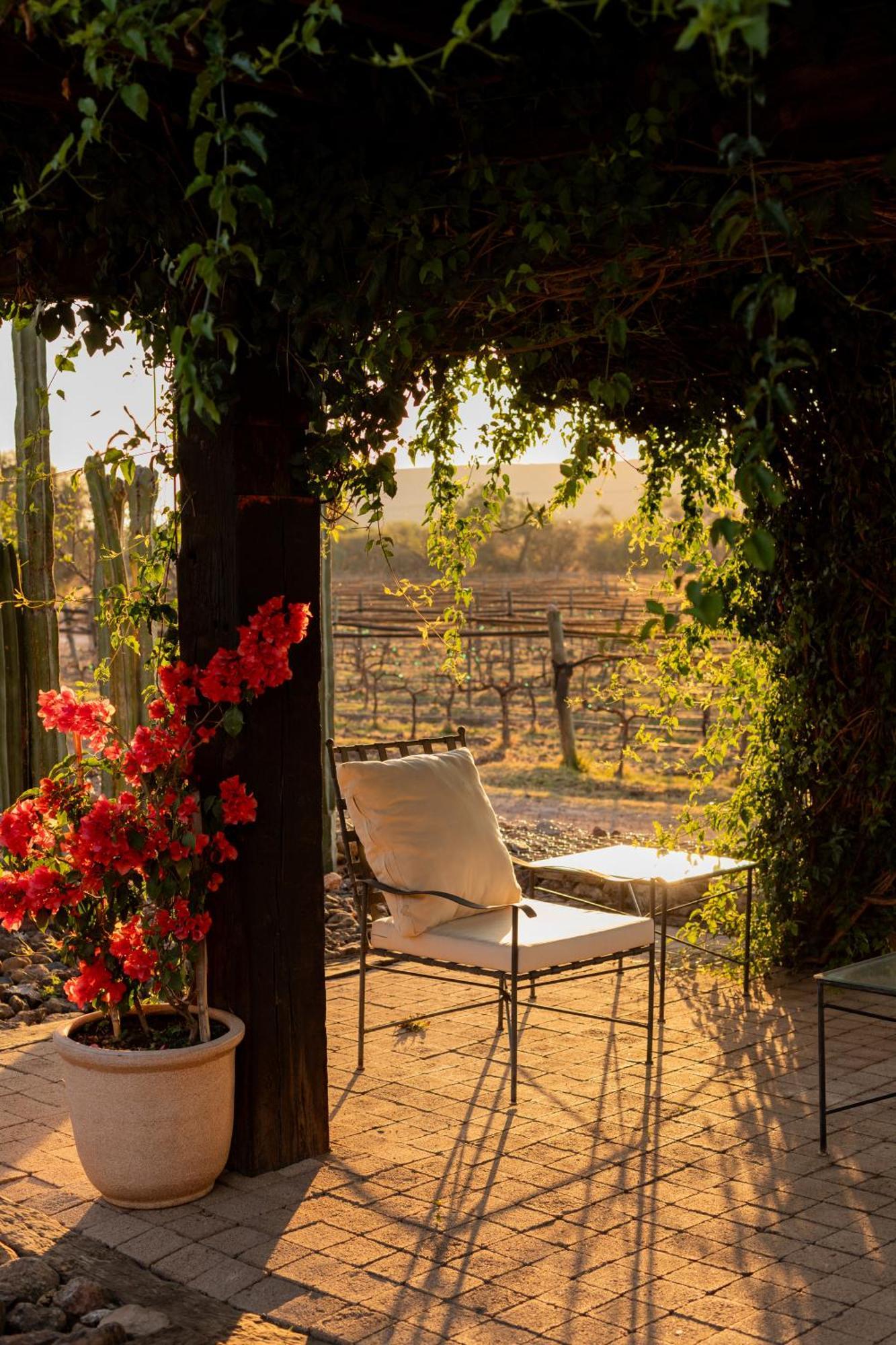 Hotel Casa De Quino Viborillas Екстериор снимка